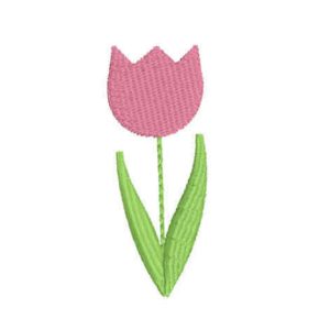 Tulip